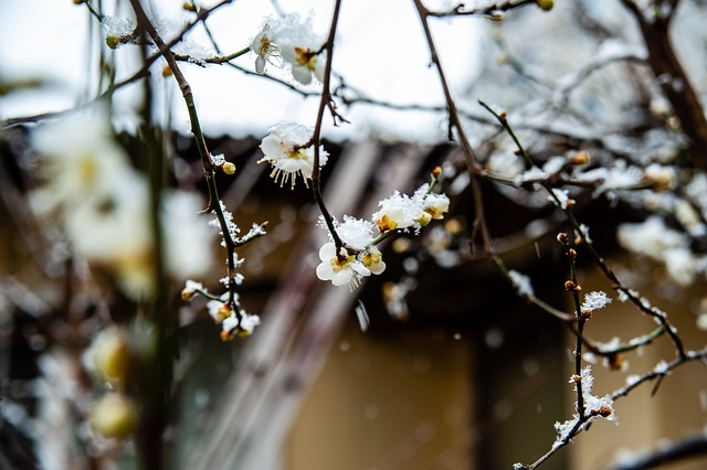 将比赛节奏