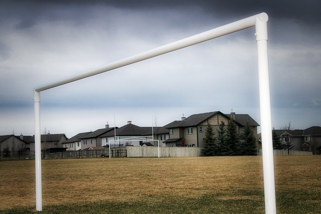 批評者為詆毀C羅發明一個「金駱駝」獎杯！.